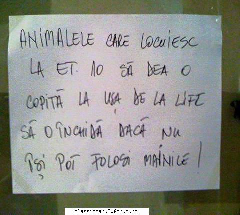 Poze... inedite! - Misu de Cluj - Coltul vesel