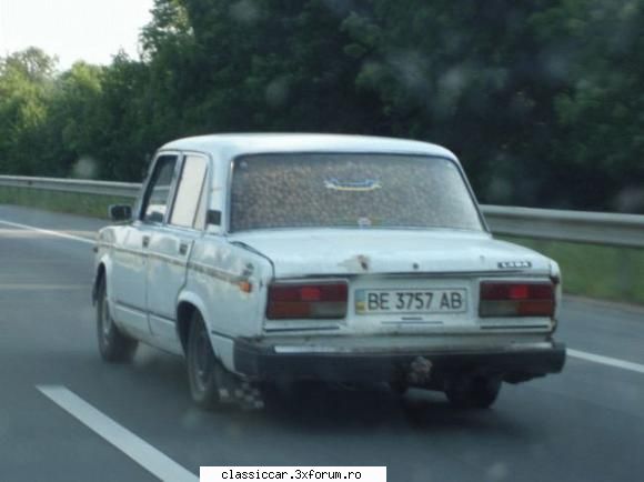 Poze... inedite! - Transport de nuci in Ukraina - Coltul vesel