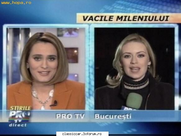 Poze... inedite! - Vacile mileniului - Coltul vesel