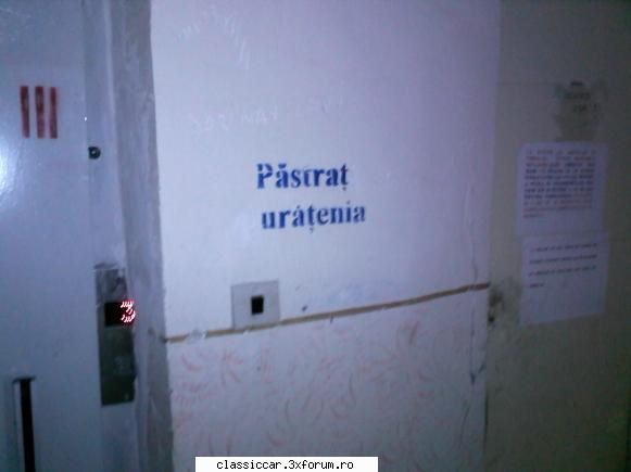 Poze... inedite! - in fata apartamentului meu! ce vecini shuguBETZI - Coltul vesel