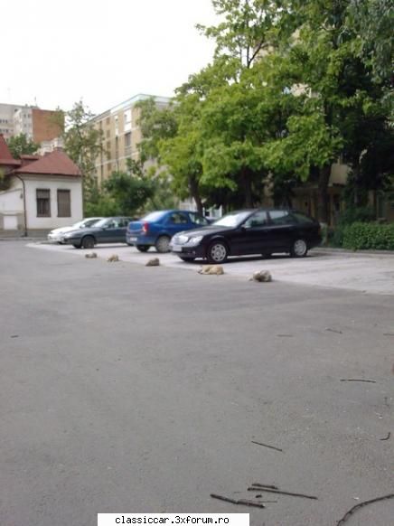 Poze... inedite! - Surpriza! Astazi aveam de gand sa parchez in noua - Coltul vesel