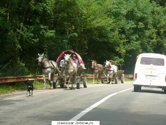 Poze... inedite! - Aceas tara,numai ei sint mecanizate si au si un - Coltul vesel