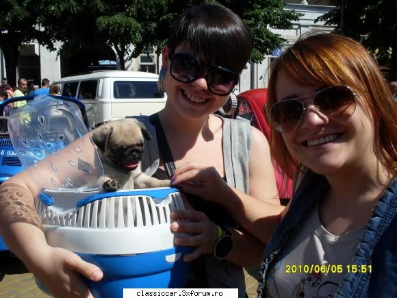 Poze si filmulete Satu Mare - 5-6 IUNIE. 2010 - Broscaritele si dulau de paza - Arhiva evenimente 2010
