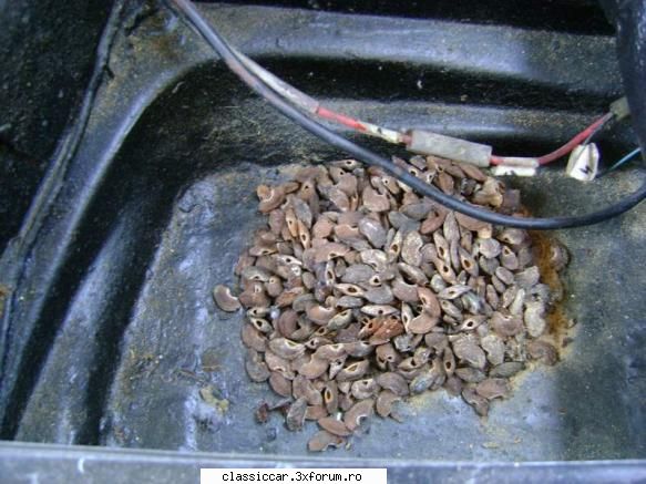 Probleme cu Mouseul! - Am luat aparatul foto si le-am pozat asa cum erau - Discutii libere
