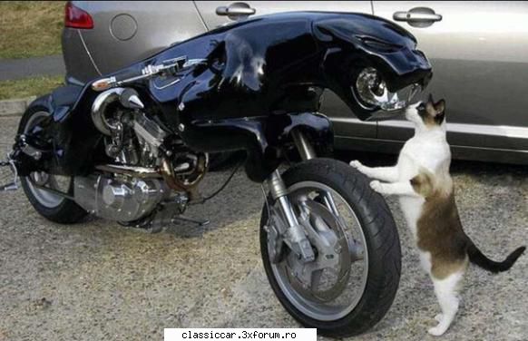 Raritati sau de vis - Cauta prieteni printre - Prezentare motociclete, motorete si biciclete de colectie