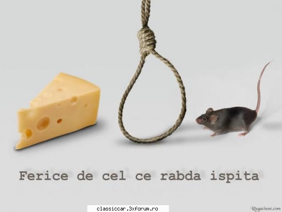 Recomandarea specialistiilor. - Misi!cred ca este un raspuns la hotarirea luate - Discutii libere
