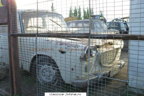 Registru Lancia Flavia in tara - Poze recente cu cea din Craiova - Registru pe marci