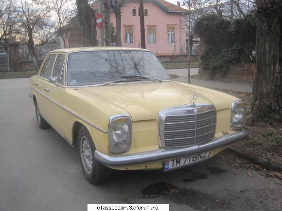 Registru Mercedes w115 - 3. inca un bot de cal la Timisoara - Registru pe marci