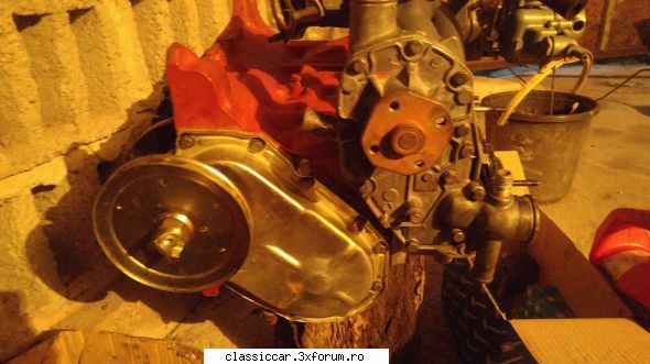 Revigorare dacia - Fan - Reconditionari si Restaurari
