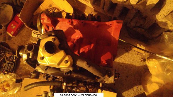 Revigorare dacia - Fan - Reconditionari si Restaurari