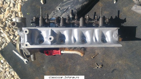 Revigorare dacia - Fan - Reconditionari si Restaurari