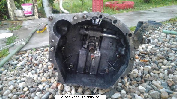 Revigorare dacia - Fan - Reconditionari si Restaurari