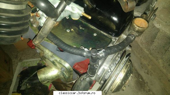 Revigorare dacia - Din pacate am epuizat stocul ei de coliere mici - Reconditionari si Restaurari