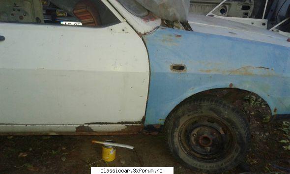 Revigorare dacia - Fan - Reconditionari si Restaurari