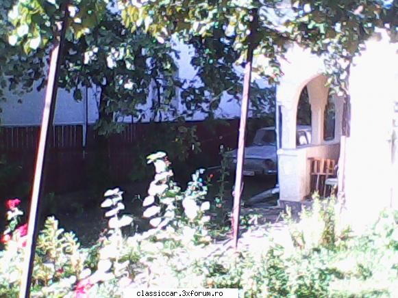 Roman, judetul Neamt - Maimuta.Galbena - Am vazut prin Romania