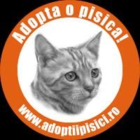 Salvati animalele - Misu de Cluj - Discutii libere