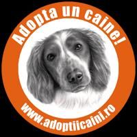 Salvati animalele - Misu de Cluj - Discutii libere