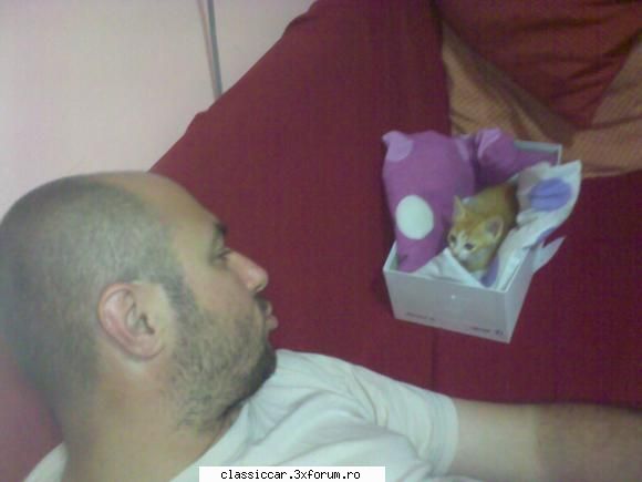 Salvati animalele - mai adaug o poza in cutiuta ei de somn. mica mica - Discutii libere