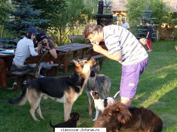 Sfirsitul unei legende. - Este cum am spus gazda un iubitor de animale,deci - File de istorie