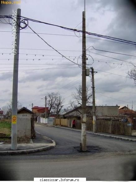 Stiati ca???..... - Pur si simplu a crescut acolo,ca un trandafir - Coltul vesel