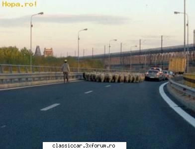 Stiati ca???..... - Nepotismul lui Berceanu,sau angajatul fam.becali ? - Coltul vesel