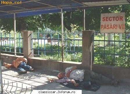 Stiati ca???..... - O fi ceva cocosi de rasa - Coltul vesel