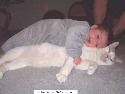 Stiati ca???..... - Cel mai bine copii se-nteleg cu animalele,care se - Coltul vesel