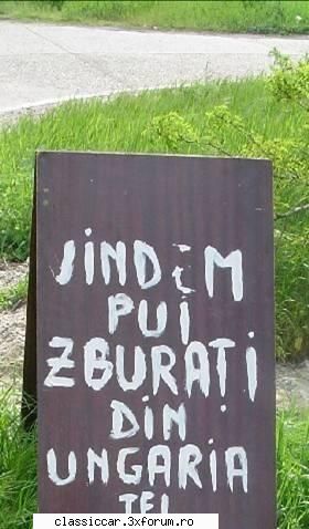 Stiati ca???..... - wob - Coltul vesel