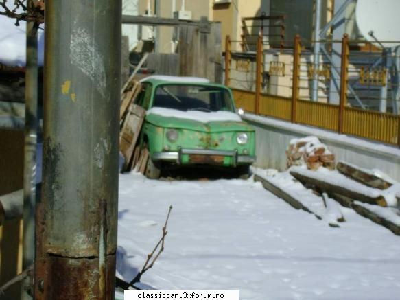 Stiuca verde - Azi am vazut o stiuca verde in cart Gheorgheni - Am vazut prin Cluj-Napoca