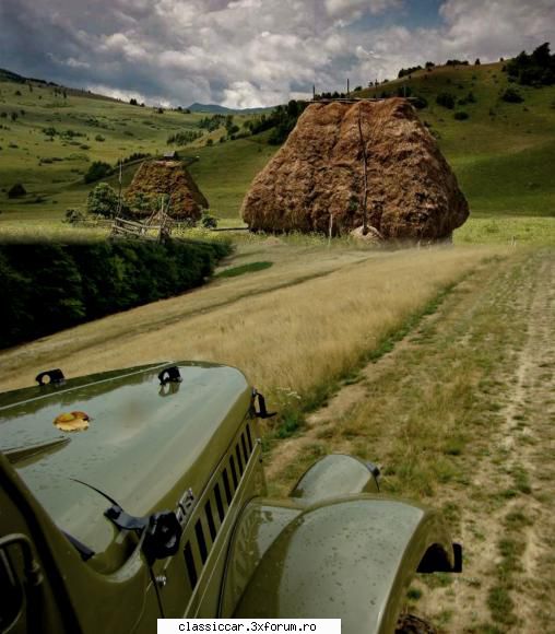 Toamna in Apuseni - Nostalgii de toamna - Drumetii prin Mioritic