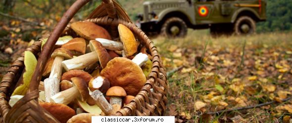 Toamna in Apuseni - Recolta de toamna - Drumetii prin Mioritic