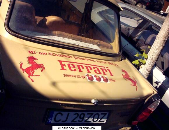Trabanturi fioroase - Misu de Cluj - Am vazut prin Cluj-Napoca
