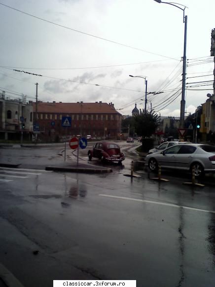 UN brotac - Alex - Am vazut prin Cluj-Napoca