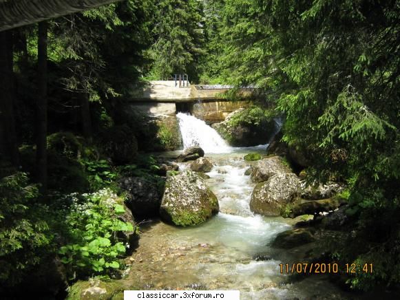 Un drum la Padina - Ialomicioara in apropierea iesirii din munte - Drumetii prin Mioritic