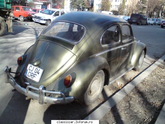 VW Bug - glad parau - Am vazut prin Cluj-Napoca