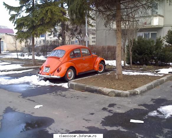 VW Kafer 1300 '65 - cetina de brad are prin multe locuri adunata din - Prezentare masini