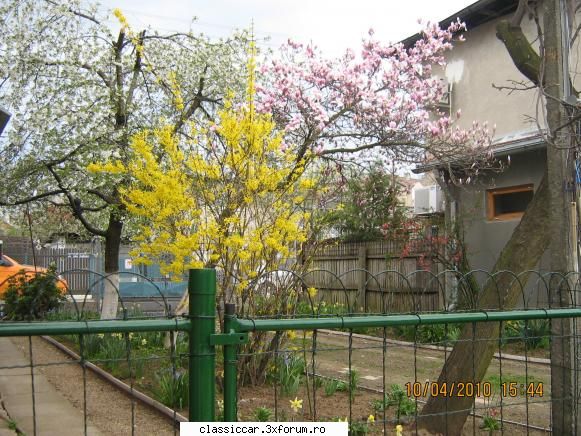 Va plac florile ? - Liviu M - Discutii libere