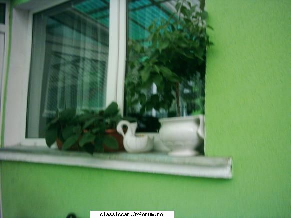 Va plac florile ? - Asteptam sa se infloreasca in curand - Discutii libere