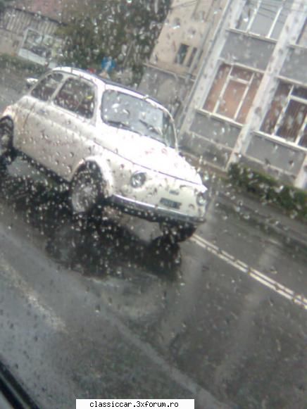 Vanatoarea de epave sibiu - fifi - Vanatoarea de epave