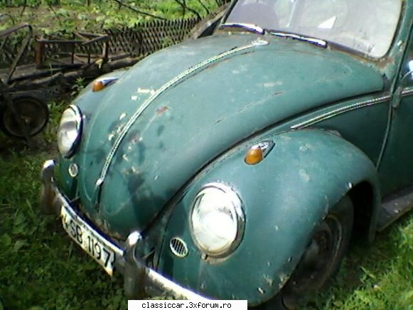 Vanatoarea de epave sibiu - Vw Kafer 1964 pret 1000 euro arata mai bn ca in - Vanatoarea de epave