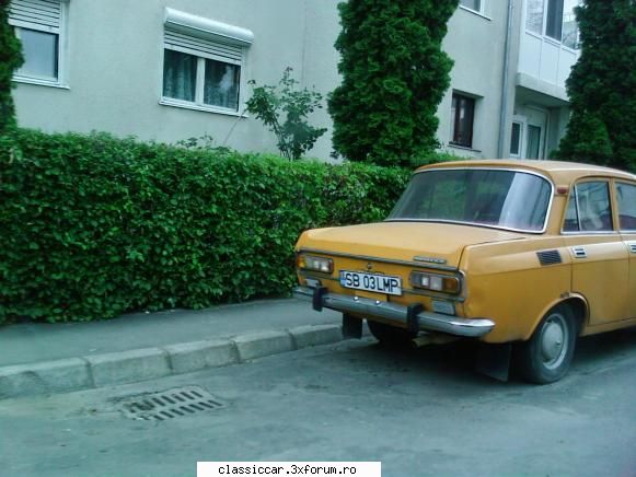 Vanatoarea de epave sibiu - Sutica - Vanatoarea de epave
