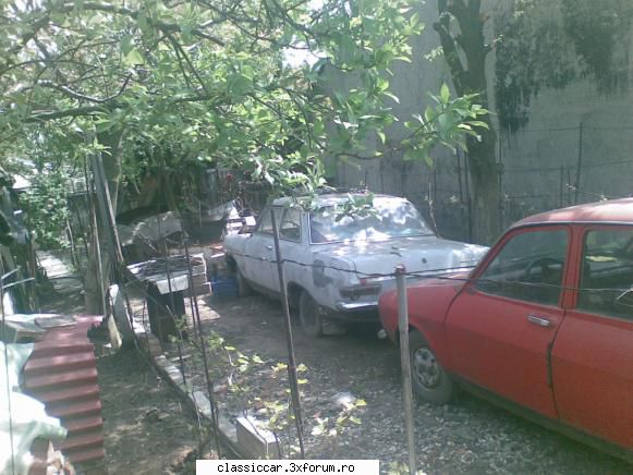 Vanatoarea de opeluri - in cautarile mele de piese de rekord a - Am vazut prin Romania