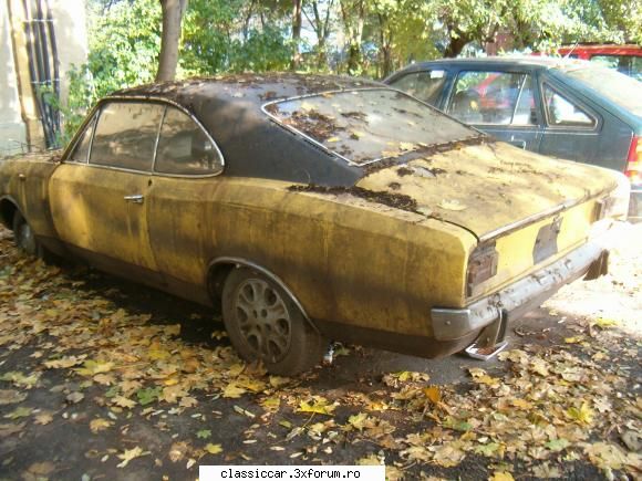 Vanatoarea de opeluri - bAndrei - Am vazut prin Romania