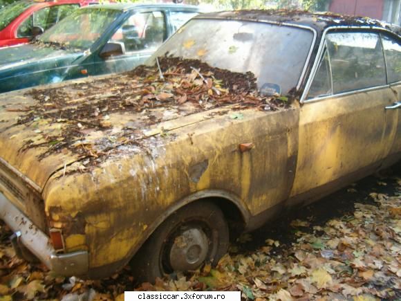 Vanatoarea de opeluri - bAndrei - Am vazut prin Romania