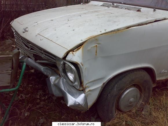 Vanatoarea de opeluri - kadett b..lovit - Am vazut prin Romania