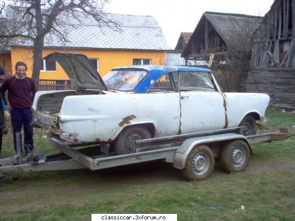 Vanatoarea de opeluri - ultimele clipe din viata unui fost p2 cupe - Am vazut prin Romania