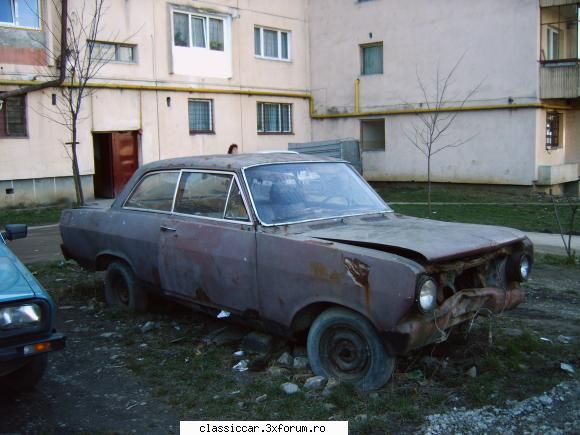 Vanatoarea de opeluri - bAndrei - Am vazut prin Romania