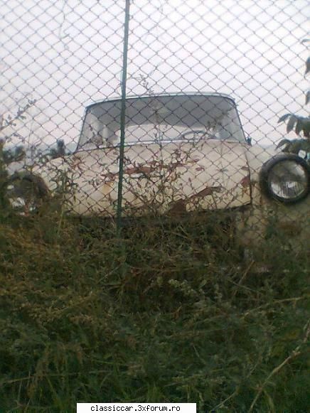 Vanatoarea de opeluri - bAndrei - Am vazut prin Romania