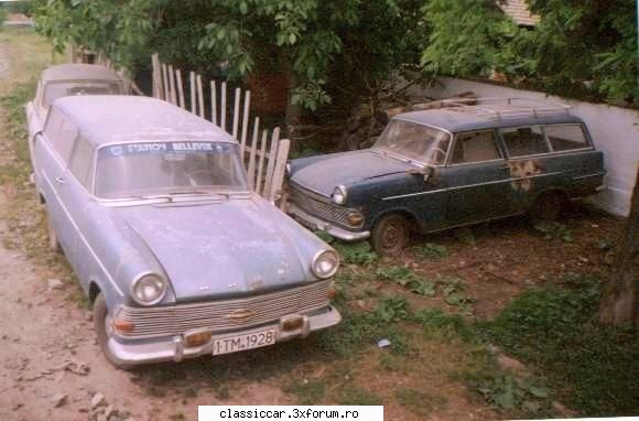 Vanatoarea de opeluri - mister din timisoara - Am vazut prin Romania