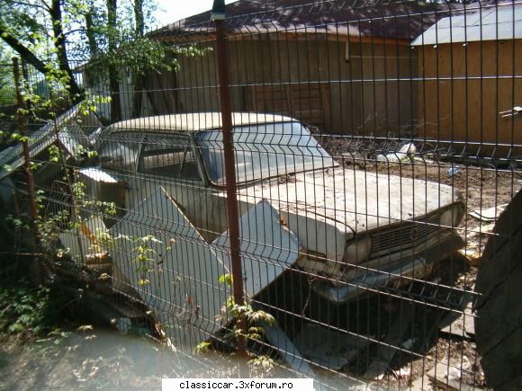 Vanatoarea de opeluri - bAndrei - Am vazut prin Romania